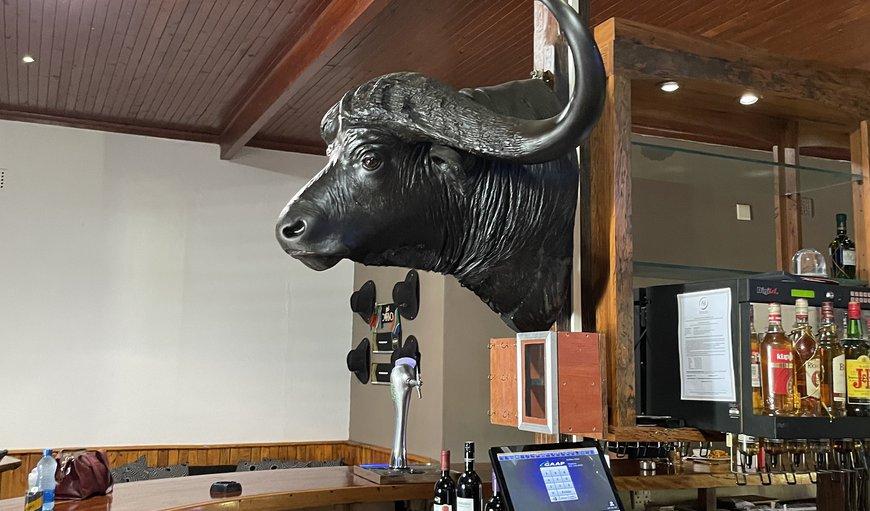 Buffalo Hotel Hectorspruit Экстерьер фото